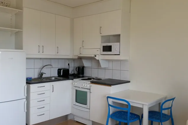 Kitchenette in a studio flat. Photo by LU Accommodation.