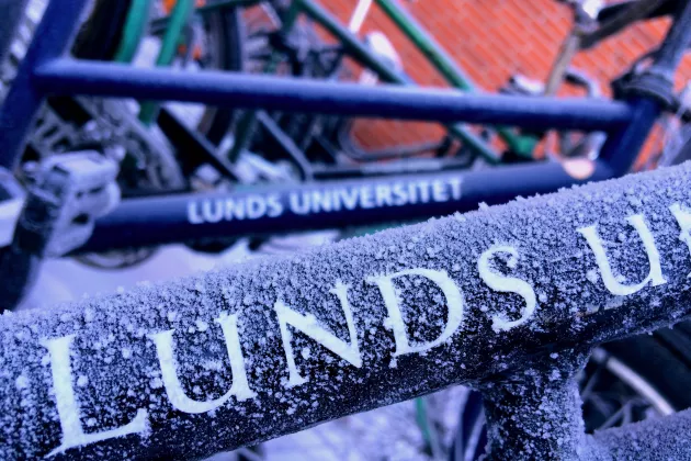 Close-up of frost on Lund University bikes. Photo by Anders Frick.