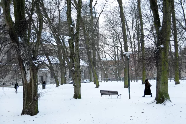 Snowy winter's day, December 2012. A person in a coat walks through the Lundagård-park, as two people are having a snowball fight. Domkyrkan can be seen through the trees. Photograph by Louise Larsson.