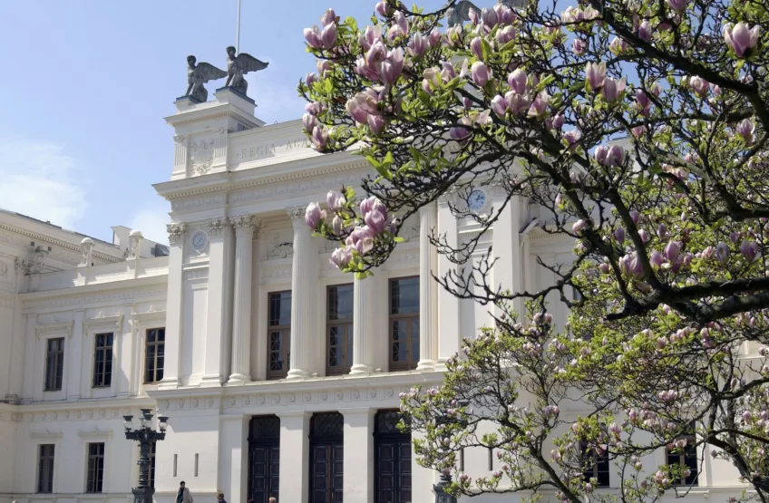 The white university building slightly from the side with a blue background and a magnolia flower bush covering the left part of the building. Picture by Mikael Risedal